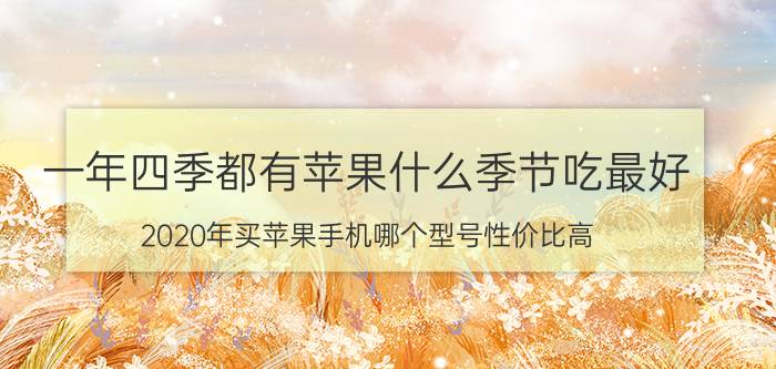 一年四季都有苹果什么季节吃最好 2020年买苹果手机哪个型号性价比高？